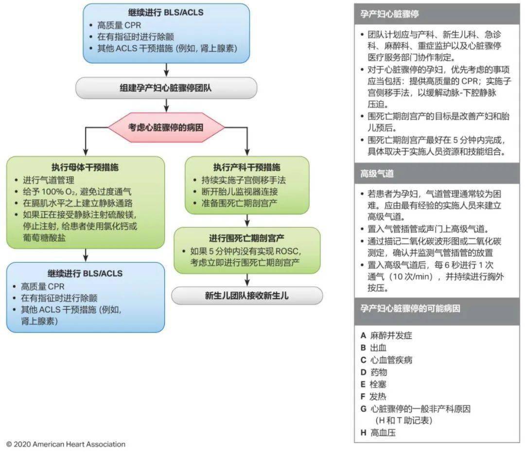 心肺复苏最新进展与观点论述概述