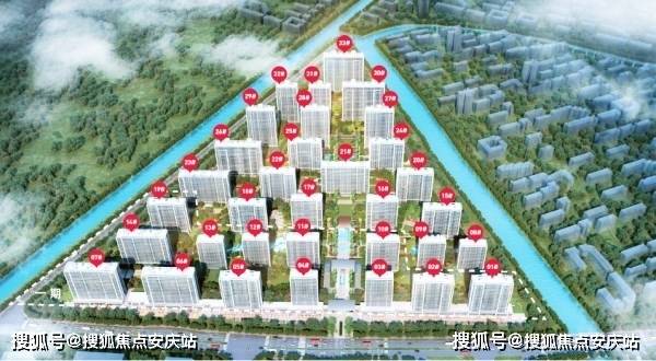 牛蛙价格最新动态及市场走势分析