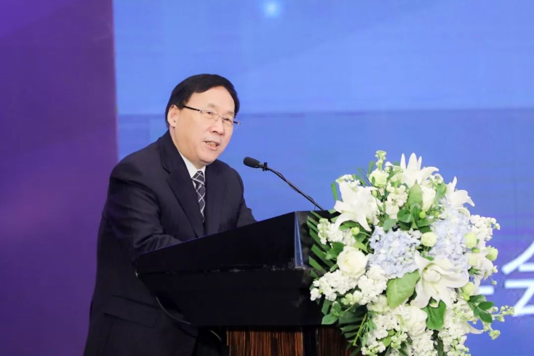 张文显最新探索之旅，自然美景的治愈力量