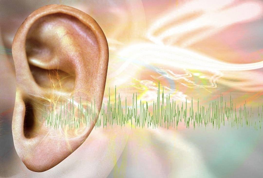 时代之声的崛起与影响，最新赥耳现象深度解析