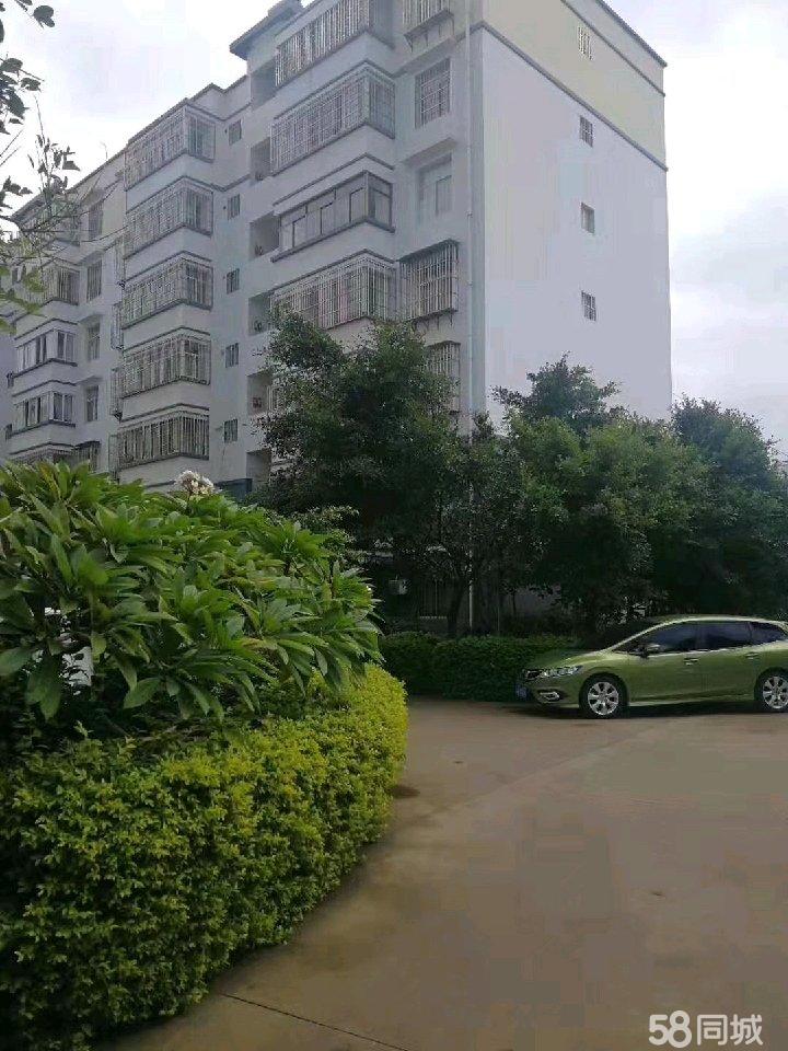 开远最新资讯速递