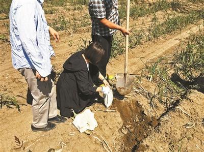 山东最新死亡事件深度报道与解析