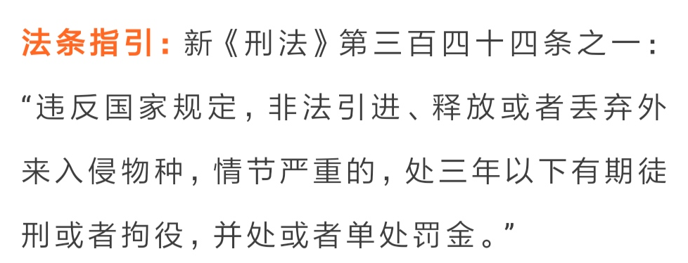 刑最新法深度解读与探讨，最新法律条文解读及热点分析