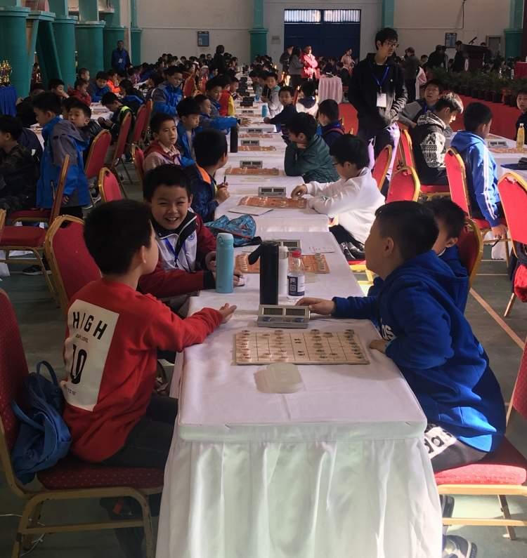最新大棋牌，文化与竞技的交融盛宴