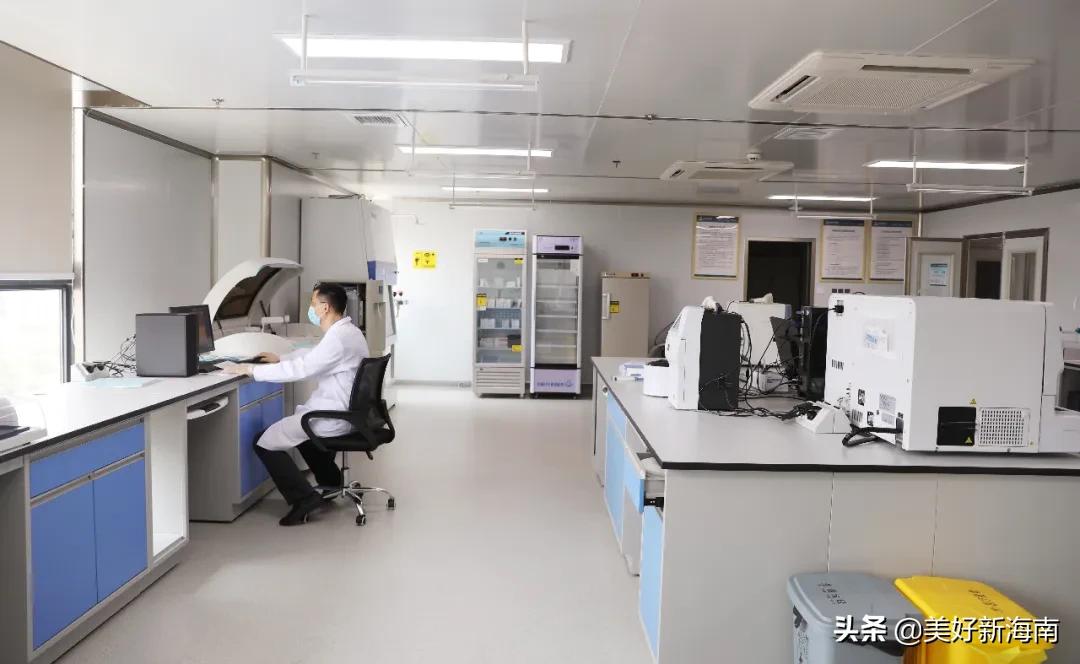 海南最新数据背后的温馨日常故事