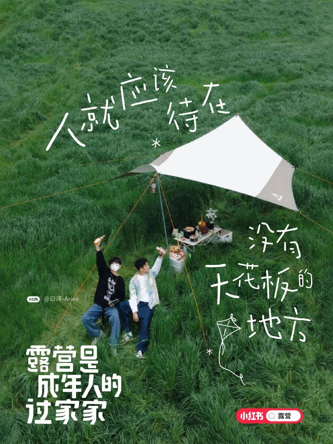 唯美短句最新,唯美短句最新💖小红书文案精选