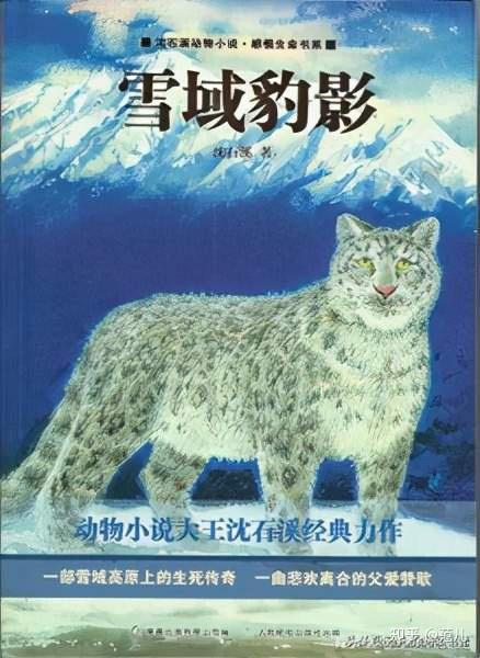 雪豹最新小说及其创作步骤指南