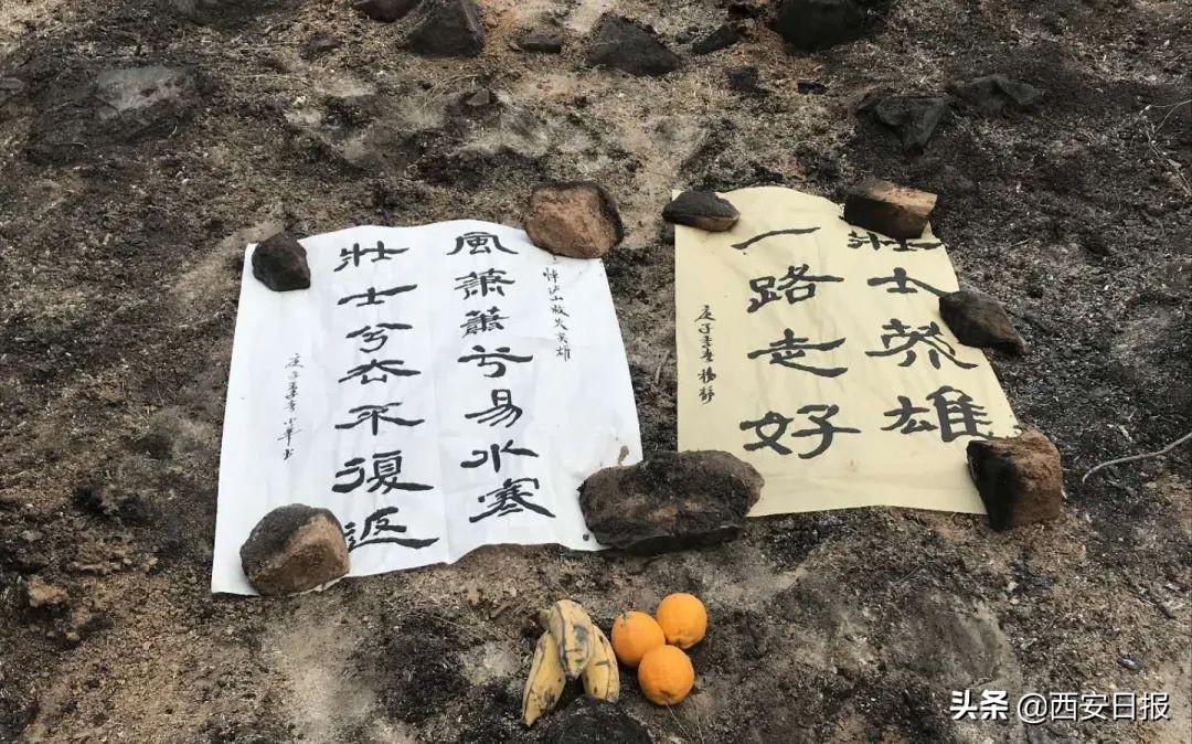 体育 第204页