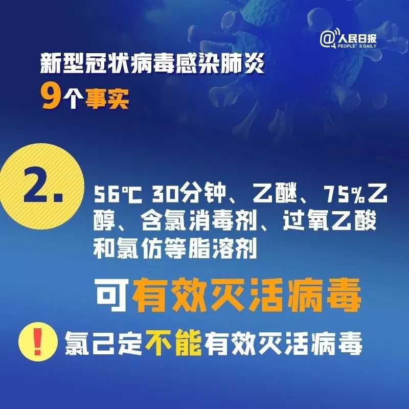 青岛肺炎最新动态与论述摘要