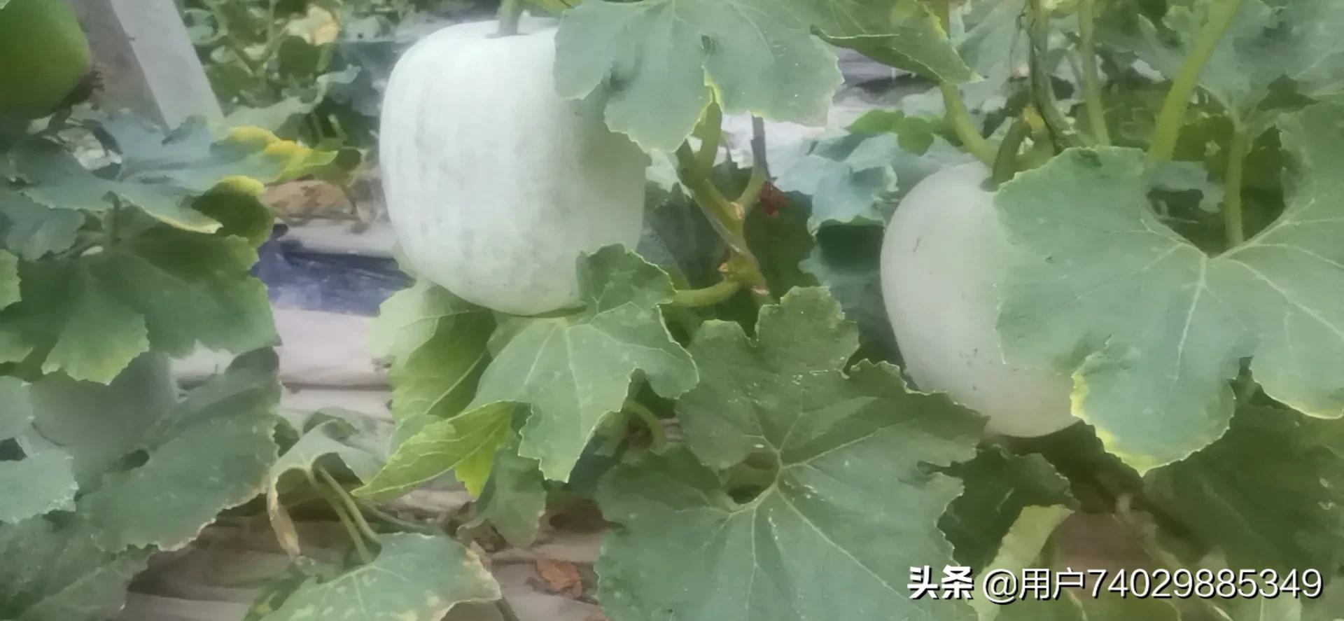 体育 第161页