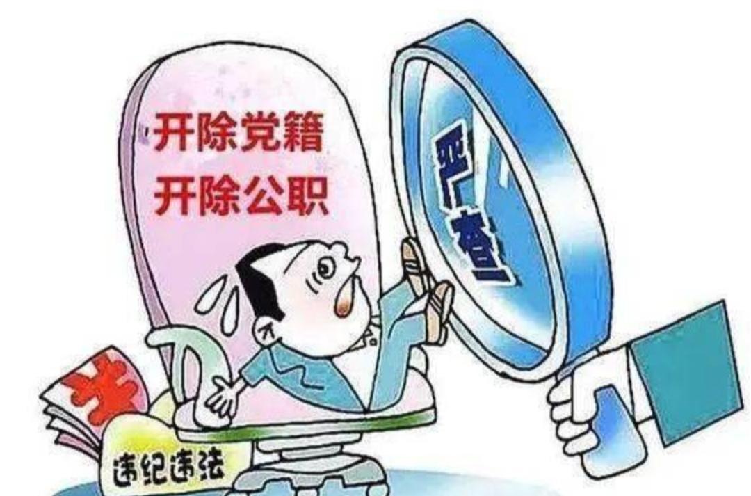 最新公职开除条件详解与步骤指南，员工管理的重要参考