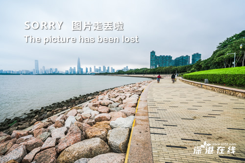 浴火重生电影，时代烙印与文化重生的交织之旅