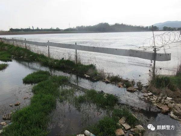 电视剧农民的日常趣事概览