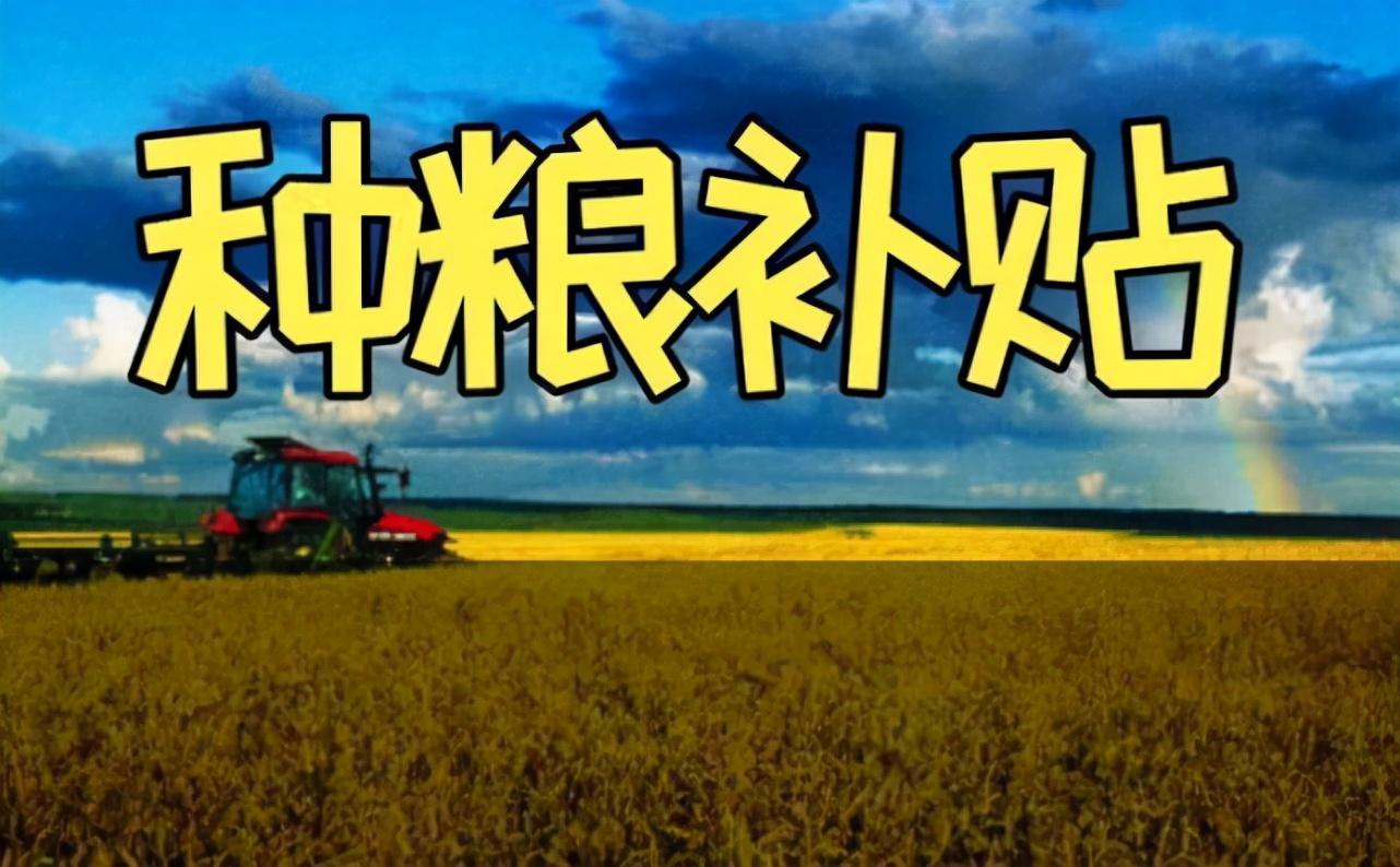 2017粮食补贴政策最新动态及未来发展展望