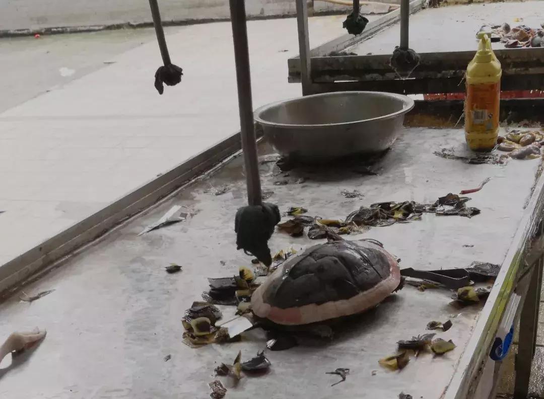 信宜领导班子引领下的独特小巷风情与美食宝藏揭秘
