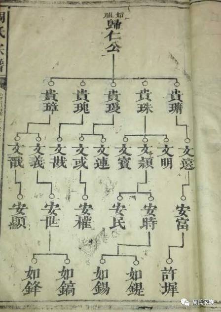 最新最全的费氏家谱,最新最全的费氏家谱——科技与传统文化的完美融合
