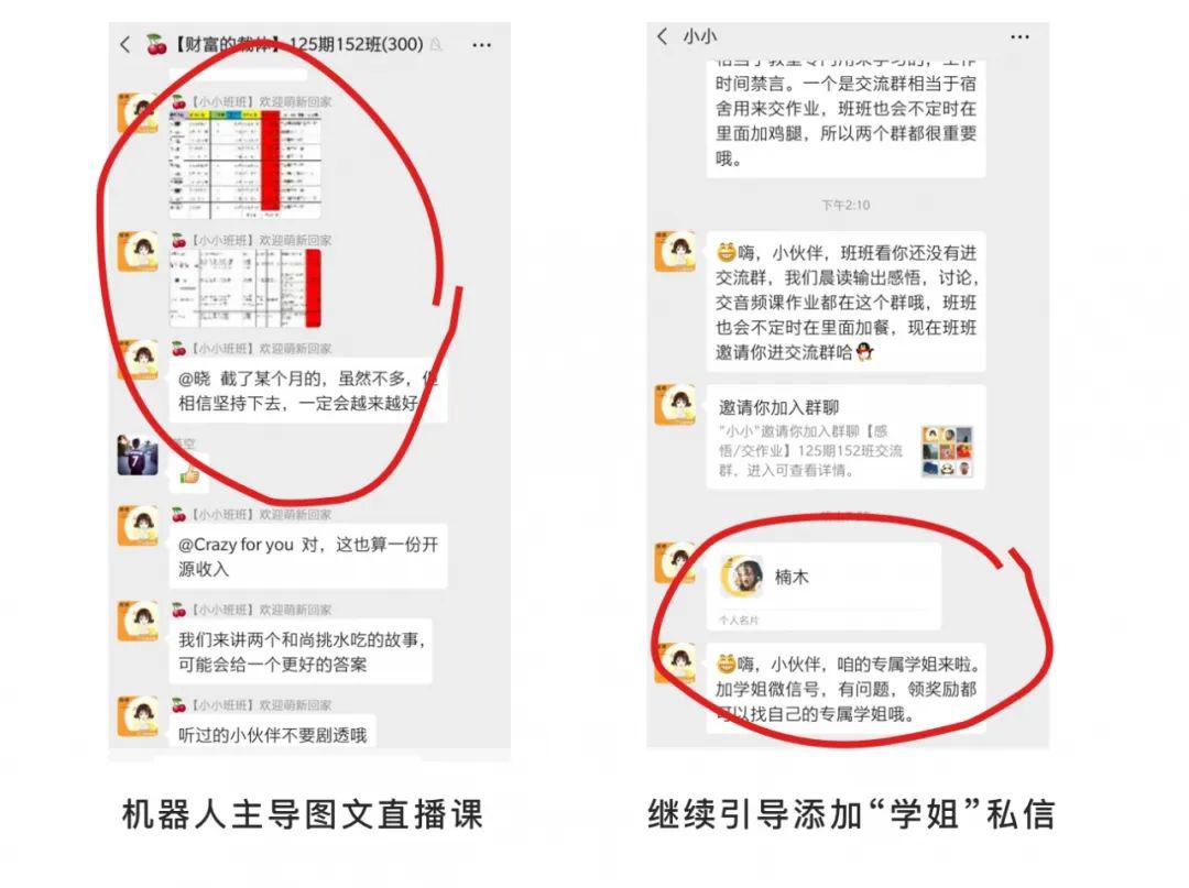 春物最新动态，全面指南助你完成任务与习得新技能秘籍揭秘！