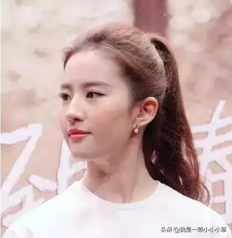 徐露最新动态与时代影响力，璀璨星途揭秘