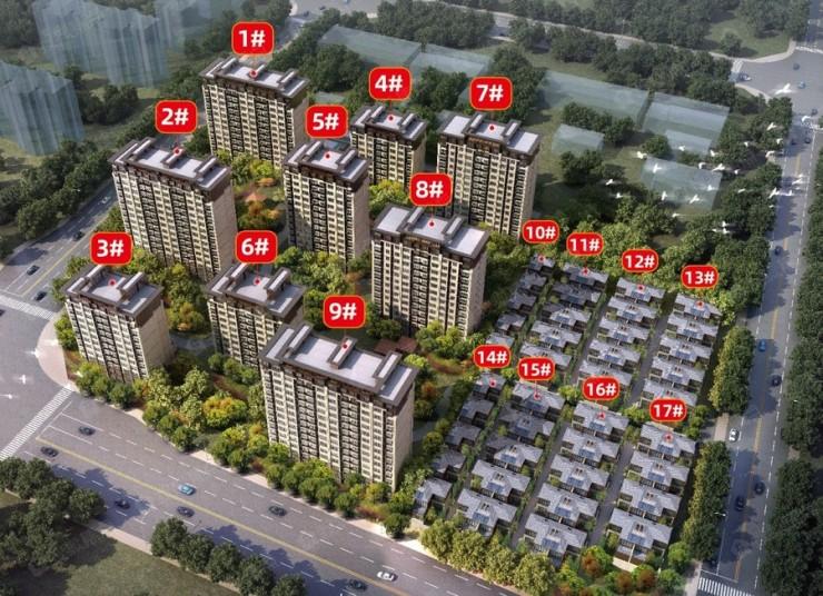市场趋势与购房指南