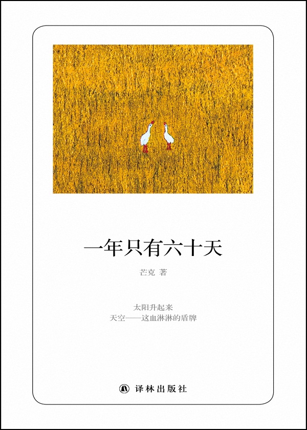 谭璇江彦丞最新动态揭秘，新故事与进展