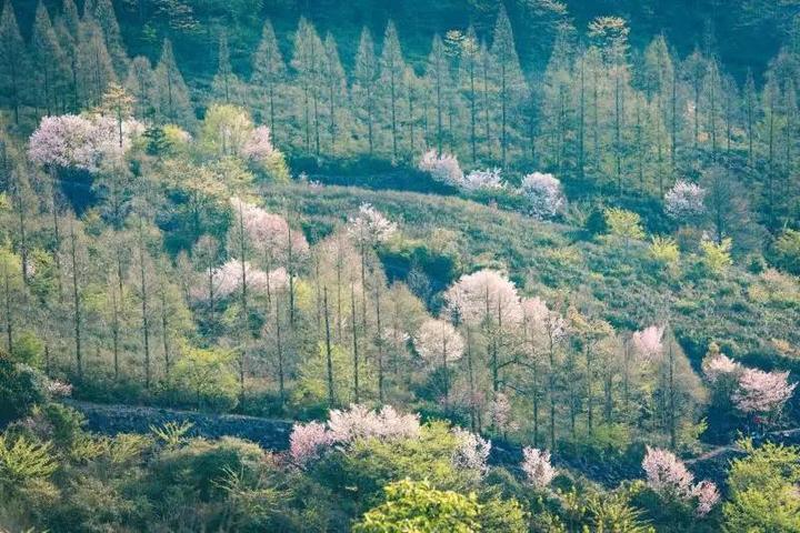 秒速九光年，科技之巅，未来已至