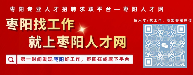 枣阳在线最新招聘信息，时代脉搏下的职业机遇探索