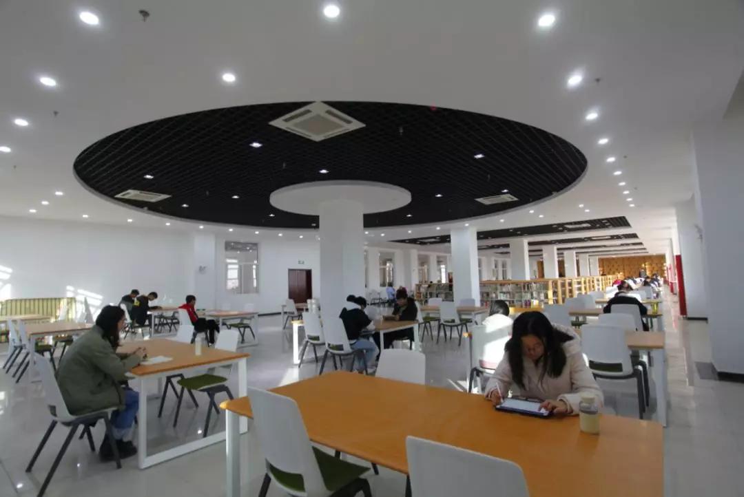 哈高科最新动态，揭秘奇妙日常新消息