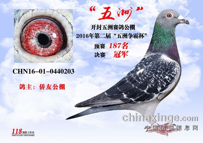 五州公棚最新公告发布
