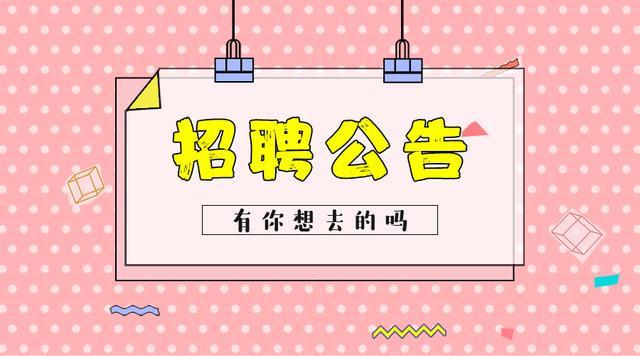 石家庄无极最新招聘趋势与职业机会深度探索
