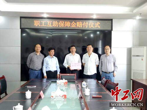 吉安市委最新常委名单背后的日常故事揭秘
