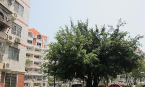 叶县最新房屋出租，变化中的家园与自信成就的学习空间