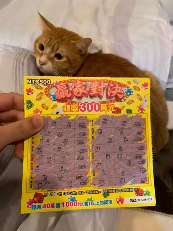 最新热门乐彩论坛导读与概览