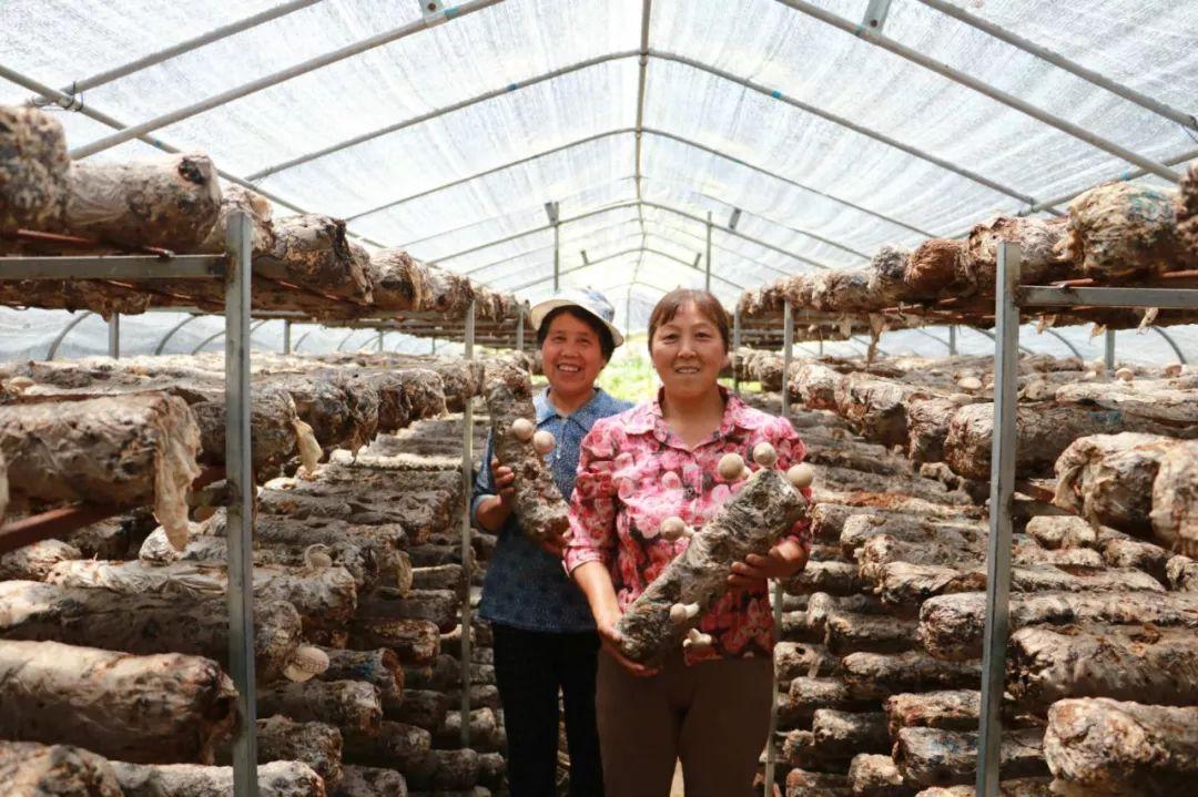 西安最新小学教师招聘启幕，携手共启教育新篇章！