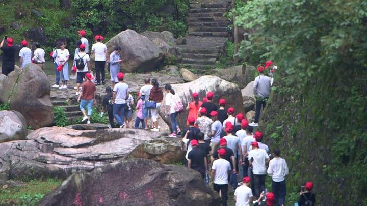 浙江天台最新新闻报道概览