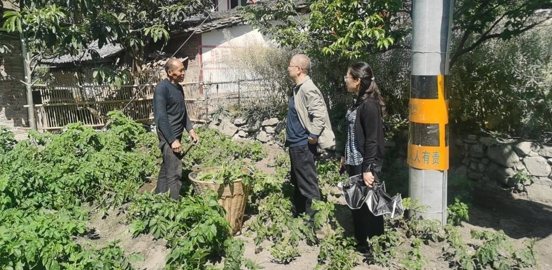 监察改革最新动态，深入分析与展望