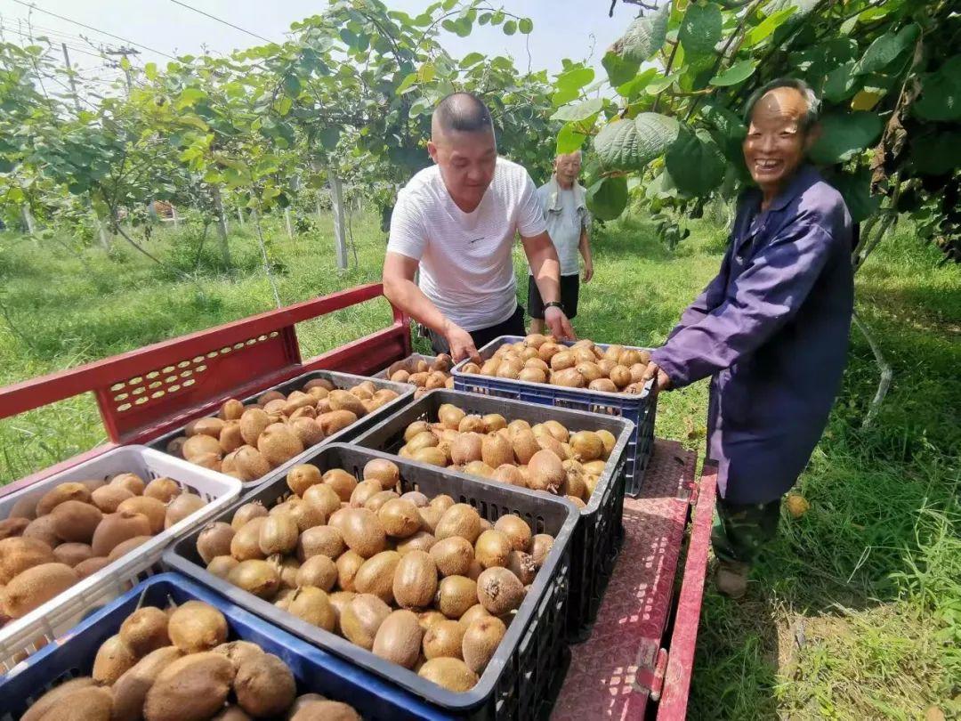 临潼代王最新招聘，工作的温情故事启程