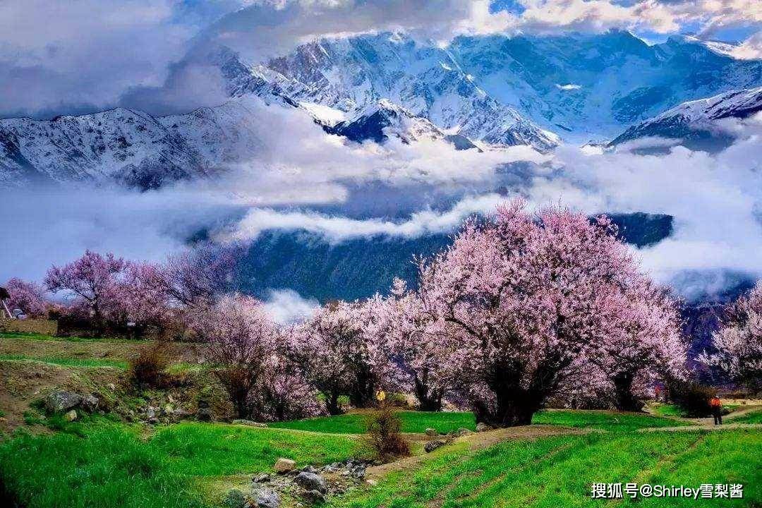 自然美景轻松之旅