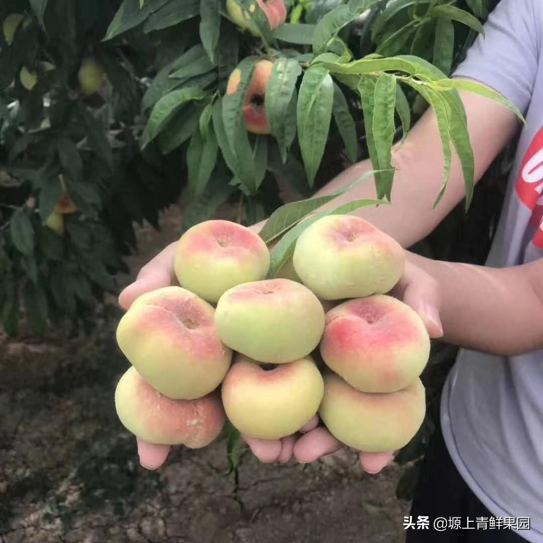 大荔最新房价概览与分析