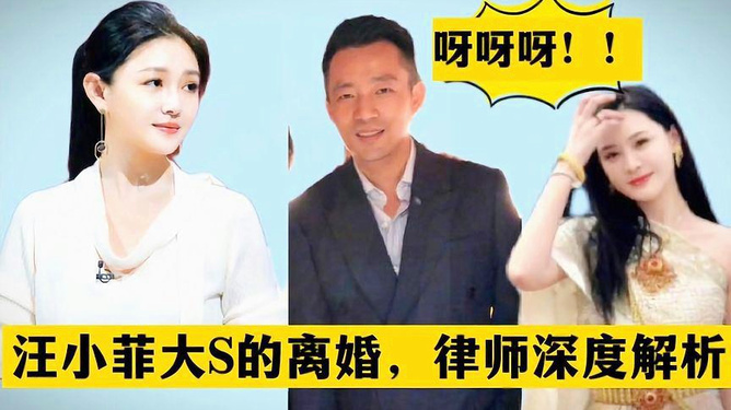 龙岩最新杀人事件，深度分析与个人观点