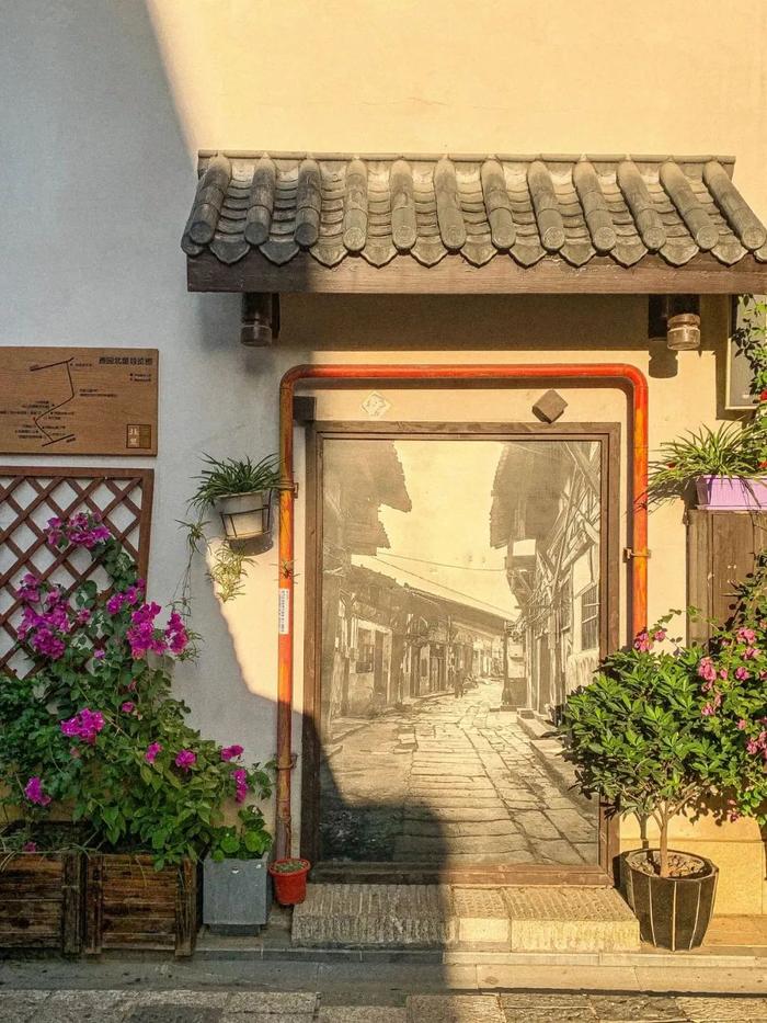 最新XP系统下载排行与小巷特色小店探秘揭秘
