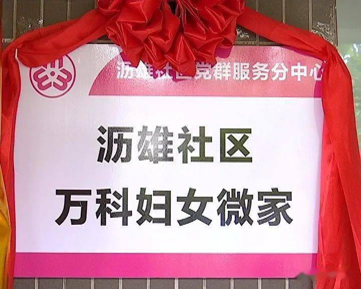 最新莞式服务全套，一个温馨日常的感人故事