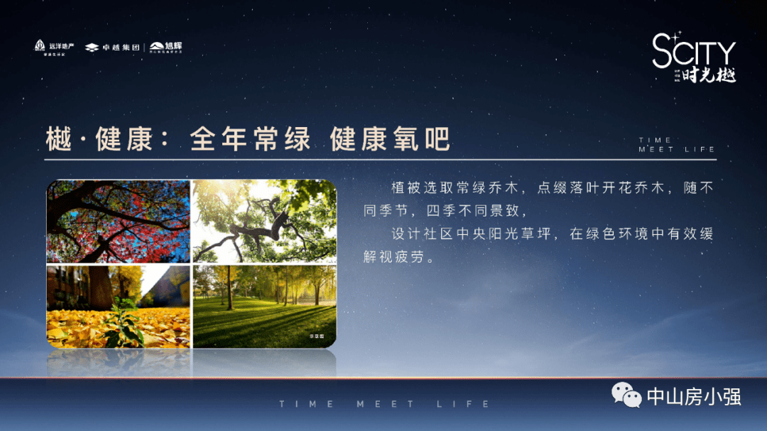 卓言心理 第4页