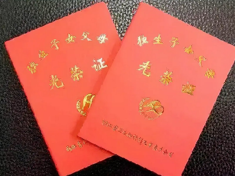 独生子女证最新政策深度解读与案例分析